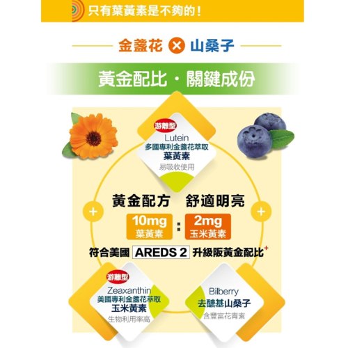 圓源齋葉黃素+山桑子膠囊-加送一盒B群(複製 1)